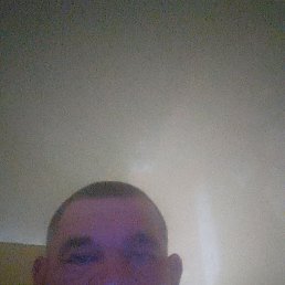 , 37, 