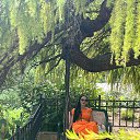 ���� ������, ��������, 66 ��� - ��������� 30 ������� 2025 � ������ ���� ����������