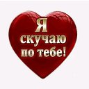 ���� ����, ����, 42 ���� - ��������� 27 ������� 2026 � ������ ���� ����������
