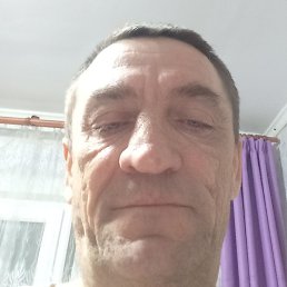 ����, ��������, 41 ���