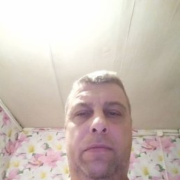 , 44, 