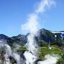  ,  , 50  -  28  2025    