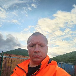 ����, 41 ���, �����������