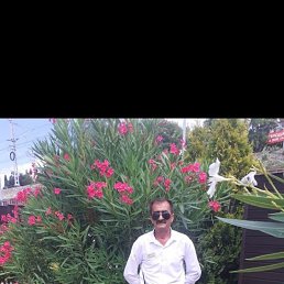 ���� ������, ���������, 64 ���� - ��������� 14 ������ 2026