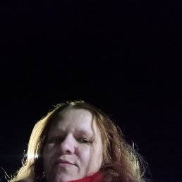 �����, 41 ���, ��������