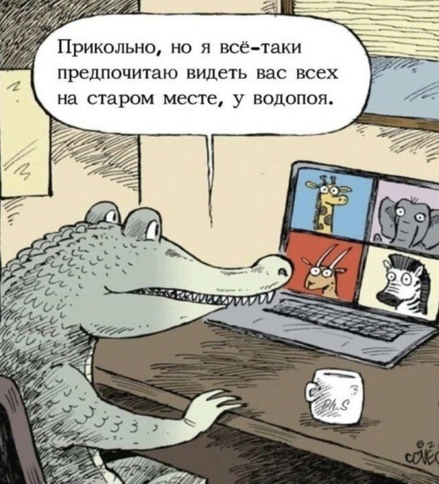  - 24  2025  04:48