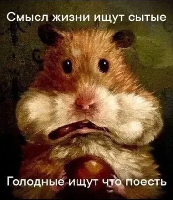  - 28  2023  17:52