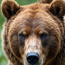 ���� Zhzi, ������� - ��������� 7 ���� 2026 � ������ ������ ��������