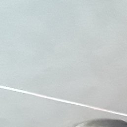 �����, ������, 43 ����