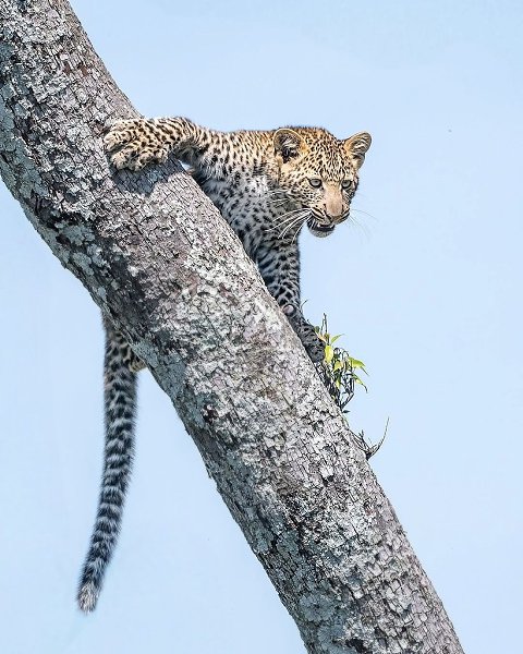 ����-������� �� ��������� ����� ������� ������ ����! �� ��� ����� ��� ���� �� ��������� � �������� ... - 3