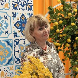 �����, ������ ��������, 59 ���