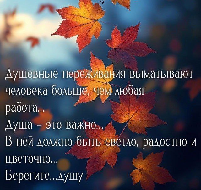 ПРИВЕТСТВИЯ и ПОЖЕЛАНИЯ, открытки на каждый день. - 22 октября 2025 в 18:16