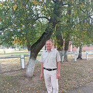 , 65 , 