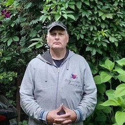 , 61 , 