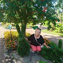 ���� ������, �������, 62 ���� - ��������� 30 ������� 2025 � ������ ���� ����������