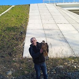 ����, ���������, 44 ����