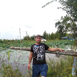 , 34, 