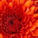 ���� �����, ������, 56 ��� - ��������� 8 ���� 2024 � ������ ���� ����������