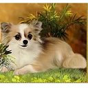 ���� -�������, ������, 52 ���� - ��������� 4 ������� 2024 � ������ ���� ����������