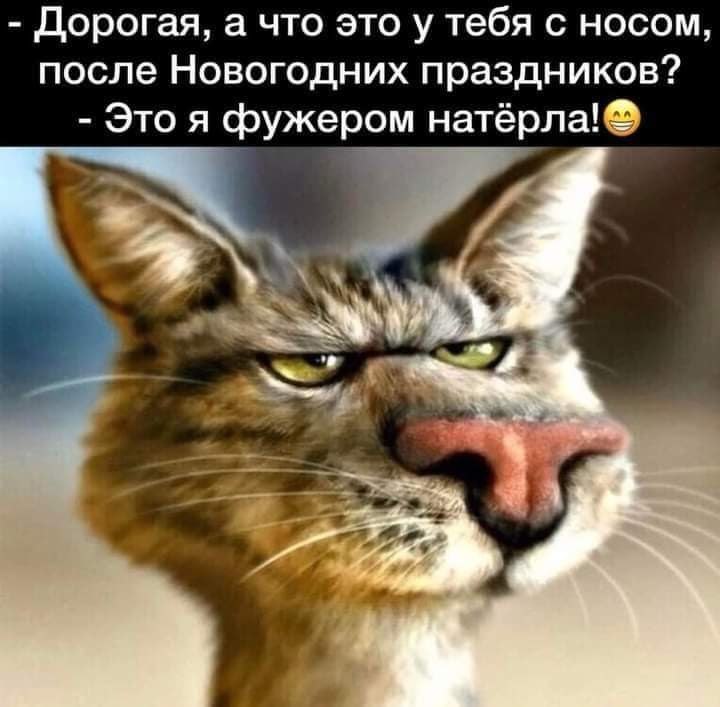 ... - 25  2024  20:51