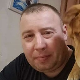 �������, ����, 43 ����