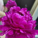  Tasha, , 50  -  7  2025    