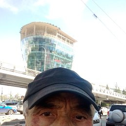 , 61, 