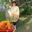 ���� ����, ����� - ��������� 15 ������ 2026 � ������ ���� ����������