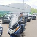 ���� ������, ������, 40 ��� - ��������� 17 ���� 2026