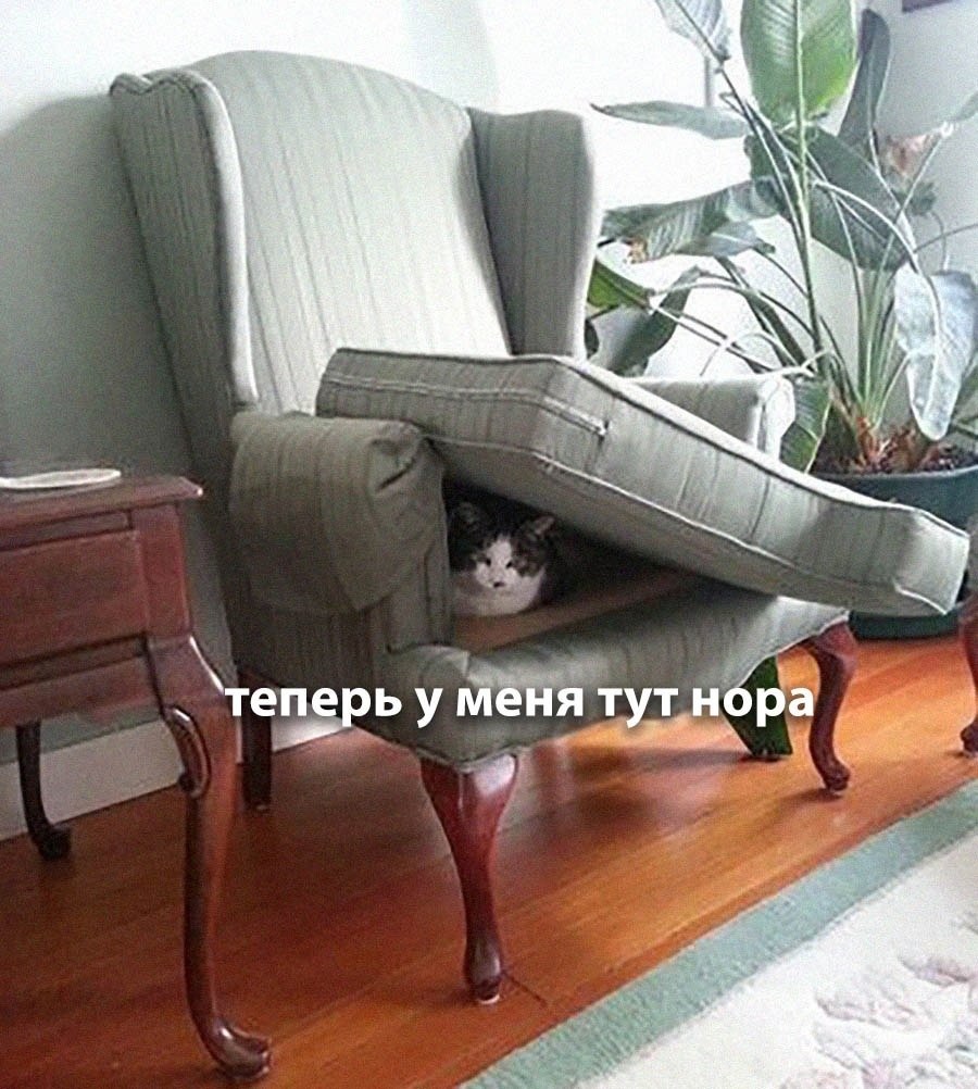    - 20  2025  20:39