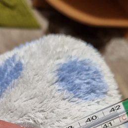 ���� ����, ��������, 45 ��� - ��������� 14 ������ 2024