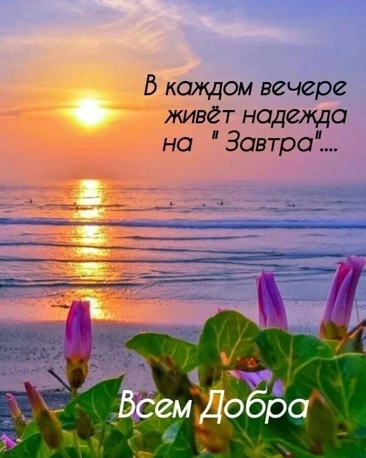 �������� ������ - 6 ���� 2026 � 16:42