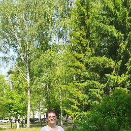 �������, �����, 80 ���