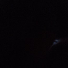 ����, ������������, 44 ����