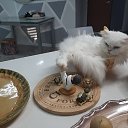  Anatoly, , 65  -  2  2024    