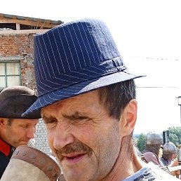 , 55, 