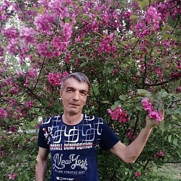 ������, 56 ���, ������