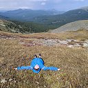 ���� �������***, �����, 48 ��� - ��������� 14 ������� 2025 � ������ ���� ����������