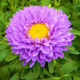 ���� ������, ������, 30 ��� - ��������� 10 ������ 2025