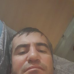 , 33, 