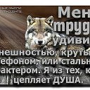 ���� ������, ������, 39 ��� - ��������� 24 ���� 2026 � ������ ���� ����������