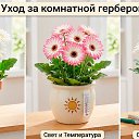���� ��������, �����, 60 ��� - ��������� 24 ������ 2026 � ������ ������ ��������