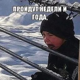 ���� ����, ����������, 41 ��� - ��������� 10 ���� 2026