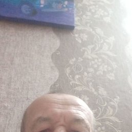 , 61, 