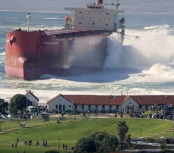   .  8  2007   Pasha Bulker,   ...