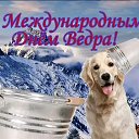 ���� �����, ������, 36 ��� - ��������� 19 ���� 2026 � ������ ������ ��������