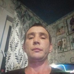 , 40, 