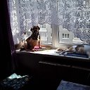  , , 50  -  10  2025    