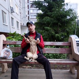 ������, �������, 47 ���