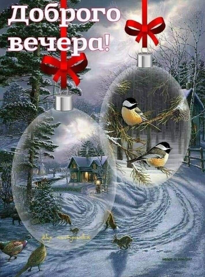   ,    . - 29  2023  17:37